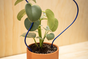 Zada Plant Trellis, Blue