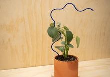 Load image into Gallery viewer, Squiggle Plant Trellis, Ultramarine Blue
